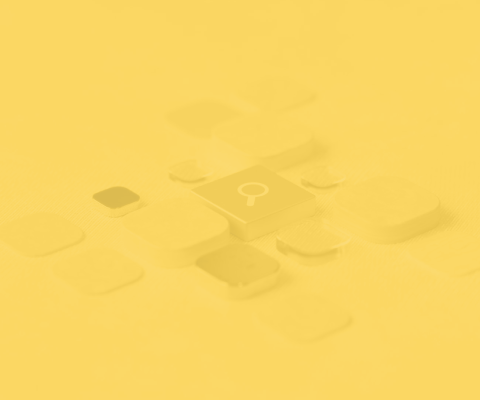Our Popular Picks yellowbg